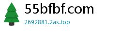 55bfbf.com